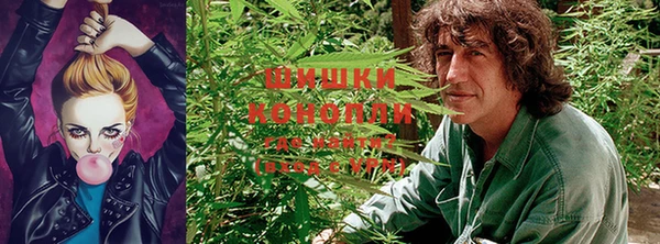 кокс Заводоуковск