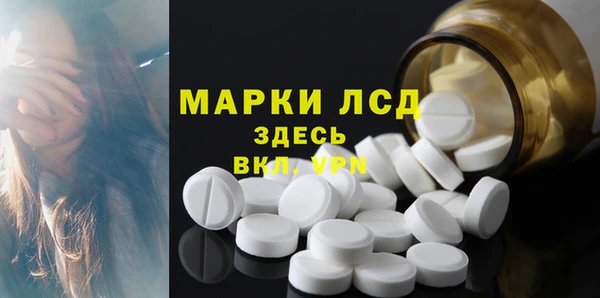 ГАЛЛЮЦИНОГЕННЫЕ ГРИБЫ Заволжье
