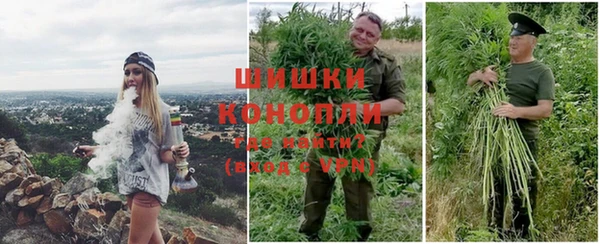 ГАЛЛЮЦИНОГЕННЫЕ ГРИБЫ Заволжье