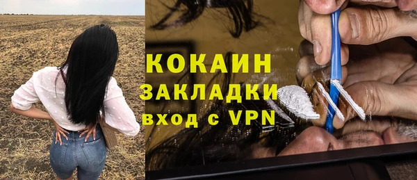 ГАЛЛЮЦИНОГЕННЫЕ ГРИБЫ Заволжье