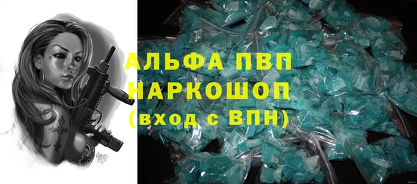 ГАЛЛЮЦИНОГЕННЫЕ ГРИБЫ Заволжье