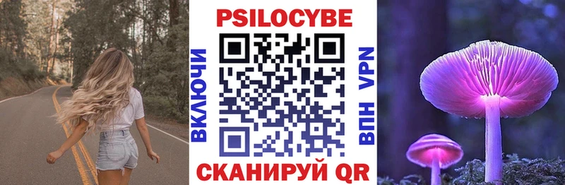 сайты даркнета состав Истра Галлюциногенные грибы мицелий OMG как зайти