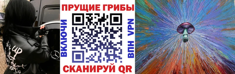 Галлюциногенные грибы MAGIC MUSHROOMS Истра