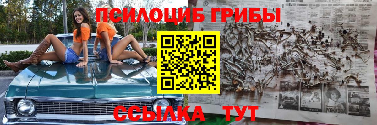 Псилоцибиновые грибы Magic Shrooms Истра