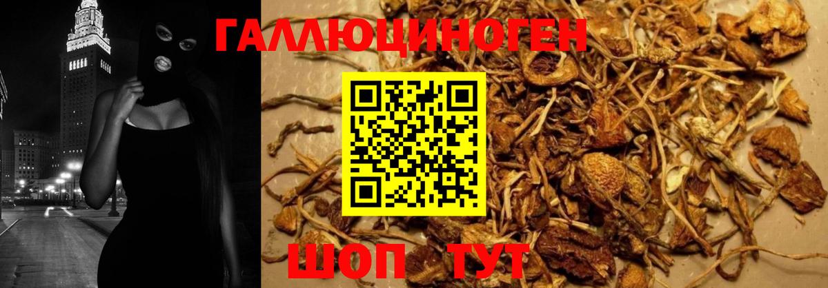 Псилоцибиновые грибы Magic Shrooms  Псилоцибиновые грибы ЛСД  Истра  Вход с VPN 