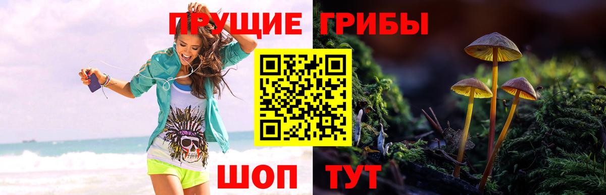 Псилоцибиновые грибы ЛСД  Истра 